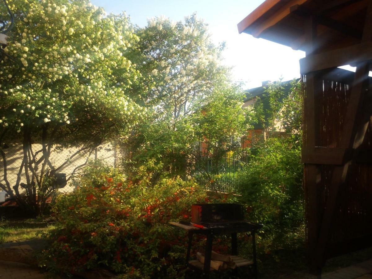 Mieszkanie Na Zielonej Tanie I Wygodne Noclegi Człuchów Exterior foto